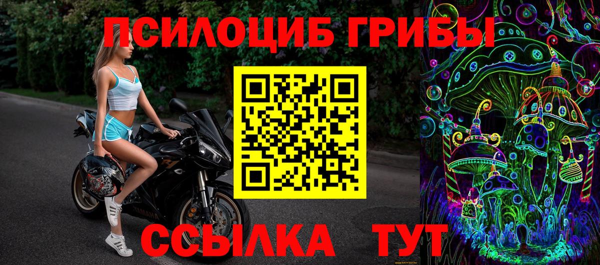 Галлюциногенные грибы Psilocybine cubensis  Вход с VPN  Галлюциногенные грибы мицелий  Сегежа 